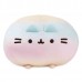 PUSHEEN ROUND RAINBOW SQUISHEEN